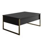 Hanah Home Luxe Mesa de Centro Antracita y Dorado